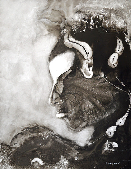 The black swan